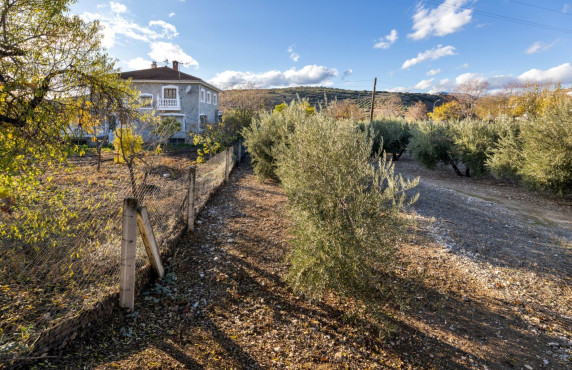 Venta - Fincas y solares - Iznalloz - Granada