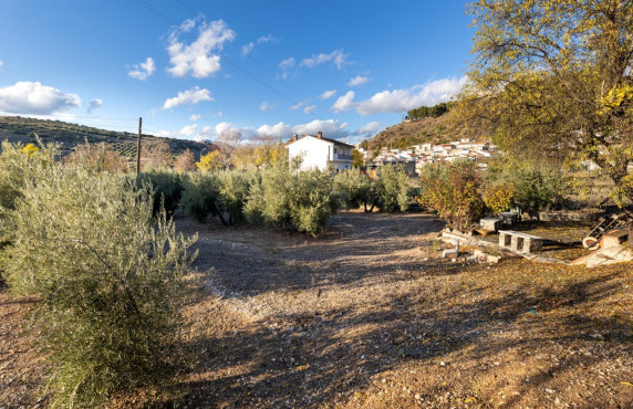 Venta - Fincas y solares - Iznalloz - Granada