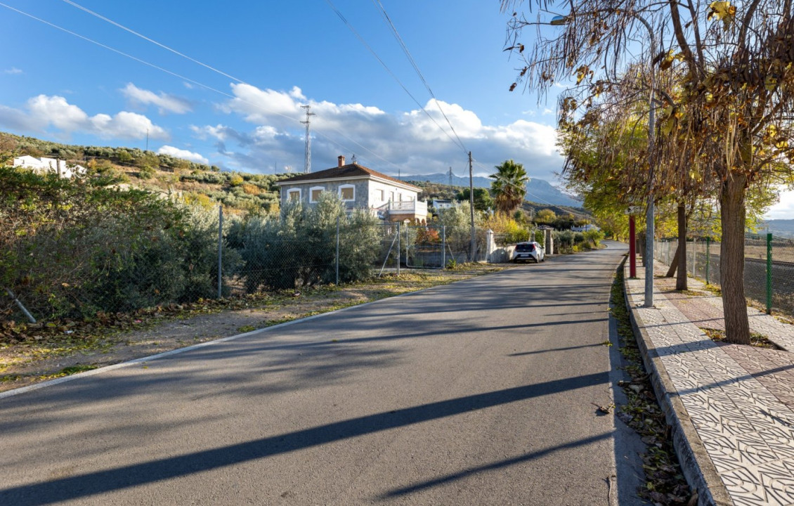 Venta - Fincas y solares - Iznalloz - Granada