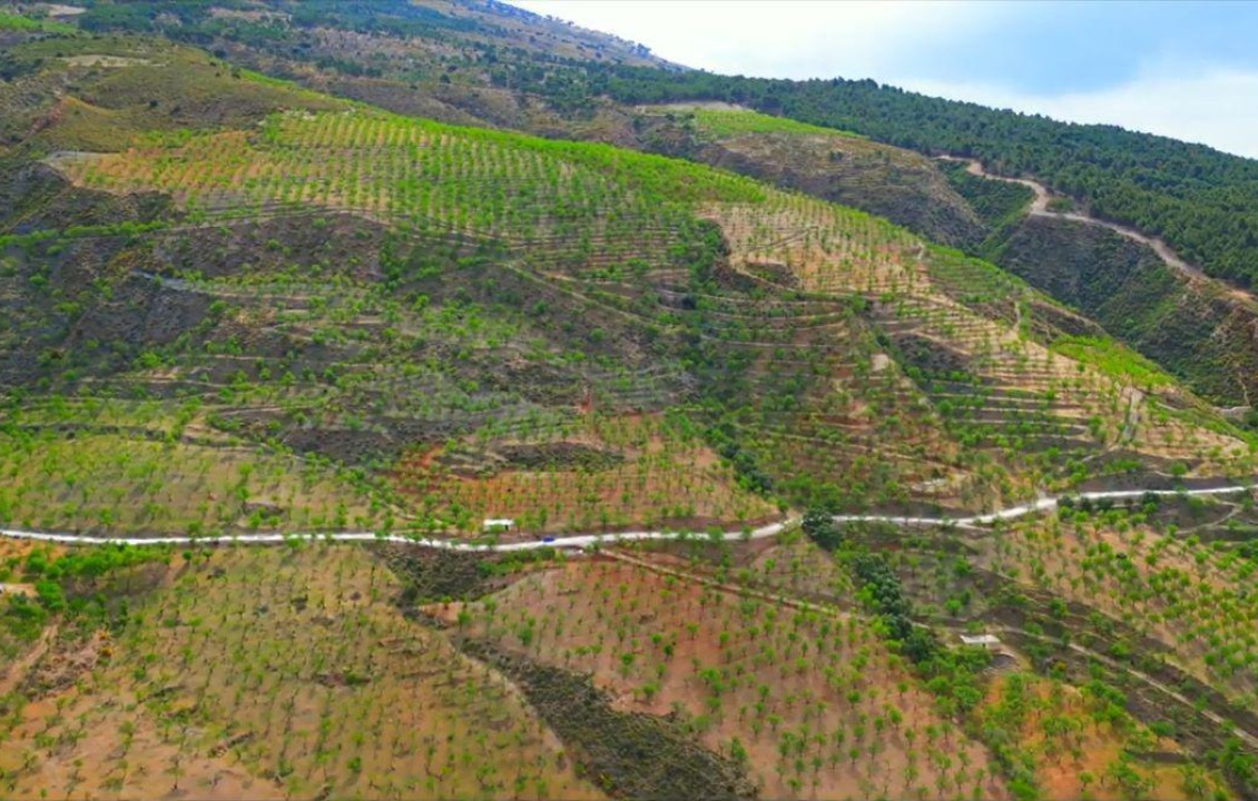 Venta - Fincas y solares - Lecrín - 5