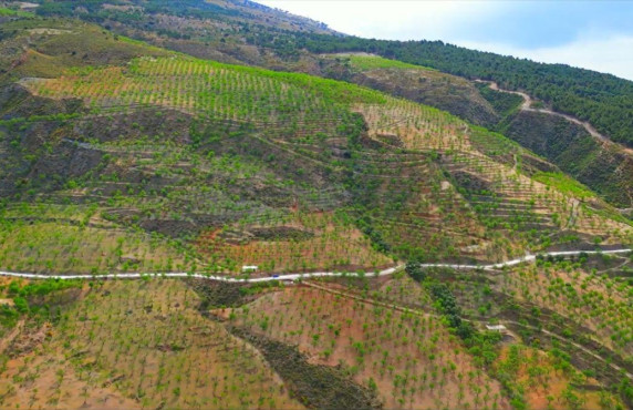 Venta - Fincas y solares - Lecrín - 5