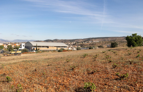 Venta - Fincas y solares - Huétor Vega - ISIDORO MOLINA NAVARRO