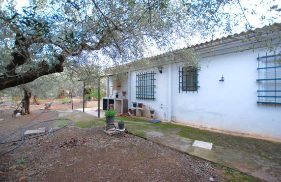 For Sale - Casas o chalets - Periana - MONDRON -ALDEA-